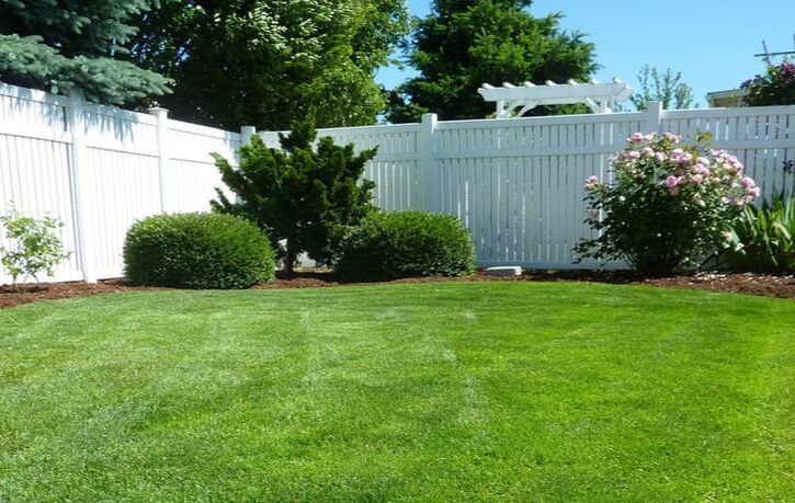 White 6' vinyl fence in backyard 